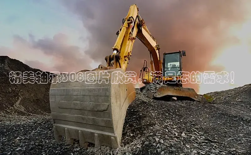 7790必发集团app客服